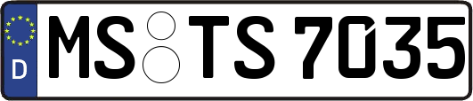 MS-TS7035