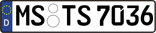 MS-TS7036