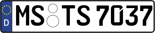 MS-TS7037