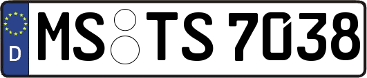MS-TS7038