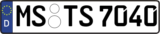 MS-TS7040