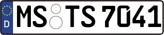 MS-TS7041