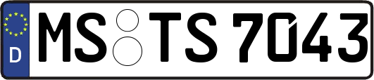 MS-TS7043
