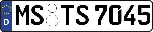 MS-TS7045