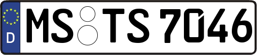 MS-TS7046