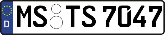 MS-TS7047
