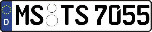 MS-TS7055