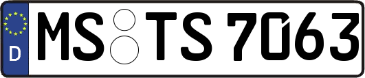 MS-TS7063