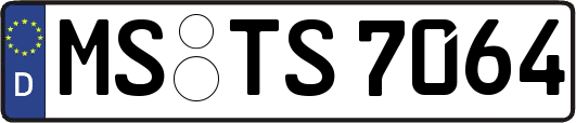 MS-TS7064