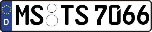 MS-TS7066