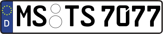 MS-TS7077