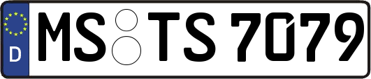 MS-TS7079