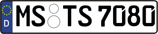 MS-TS7080