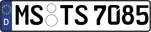 MS-TS7085