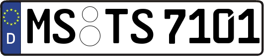 MS-TS7101