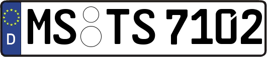 MS-TS7102