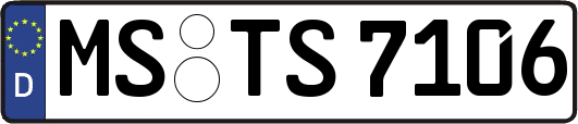MS-TS7106