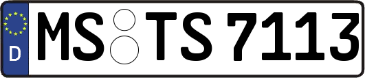 MS-TS7113