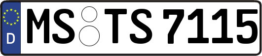 MS-TS7115