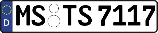 MS-TS7117