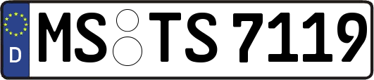MS-TS7119