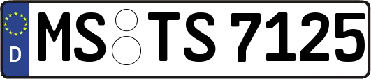 MS-TS7125