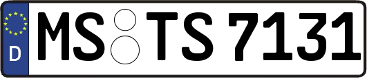 MS-TS7131