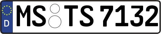 MS-TS7132