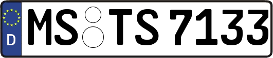 MS-TS7133