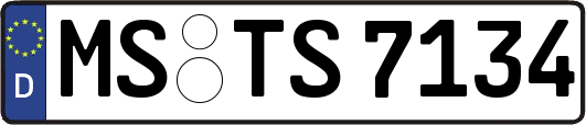 MS-TS7134