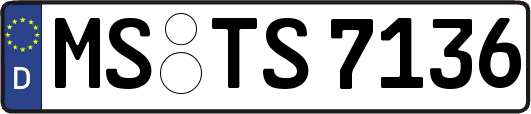 MS-TS7136