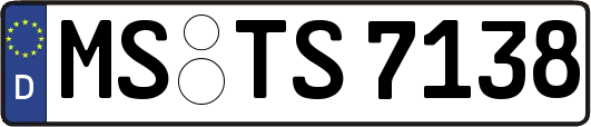 MS-TS7138