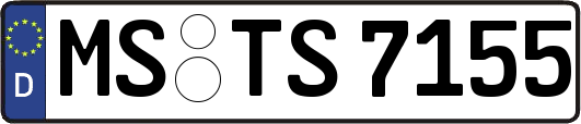 MS-TS7155