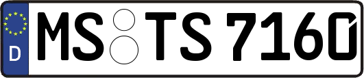 MS-TS7160
