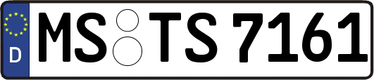 MS-TS7161