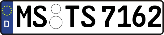 MS-TS7162