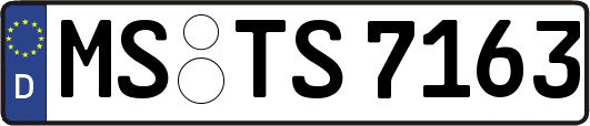 MS-TS7163