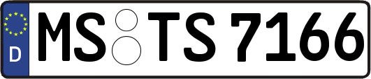 MS-TS7166