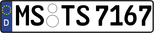 MS-TS7167