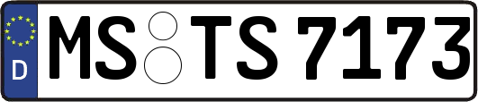MS-TS7173