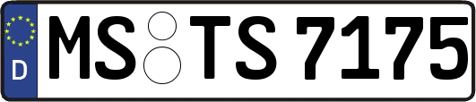 MS-TS7175