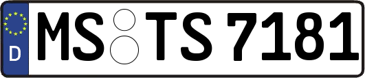 MS-TS7181