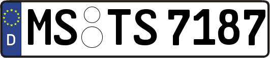 MS-TS7187