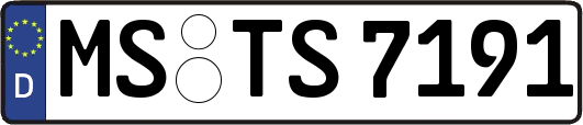 MS-TS7191