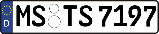 MS-TS7197