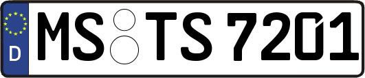 MS-TS7201