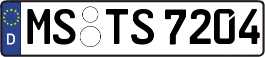 MS-TS7204
