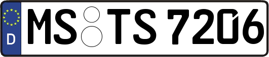 MS-TS7206