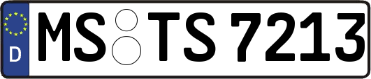 MS-TS7213