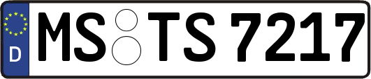 MS-TS7217